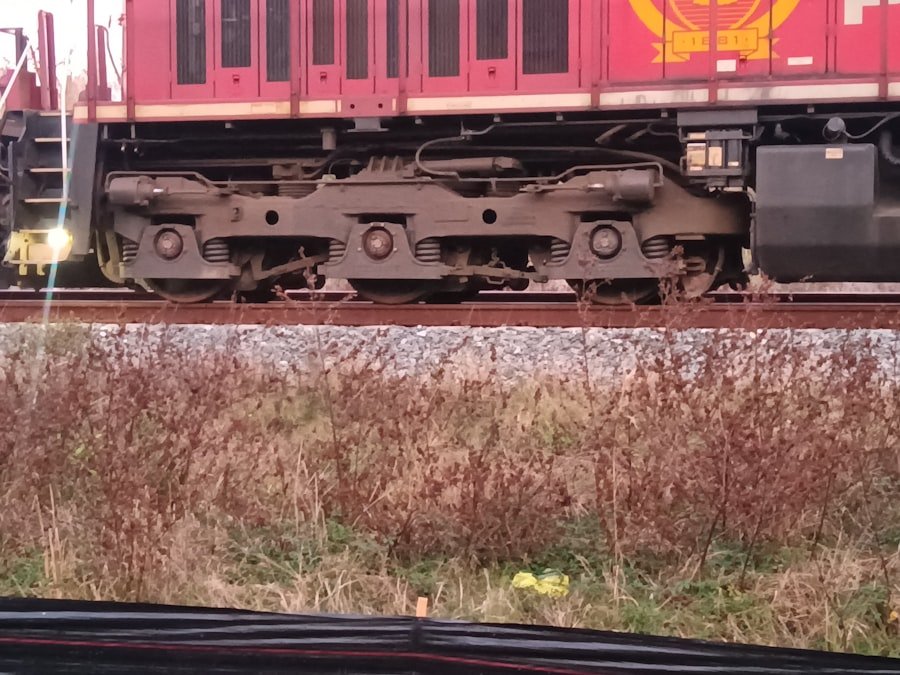 train cat scratching post