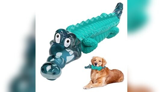 Best Dog Toys for Aggressive Chewers