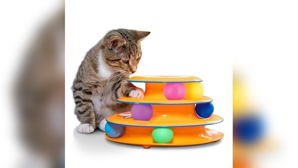 Best Interactive Cat Toys