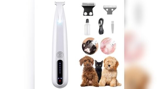Best Pet Products 2025