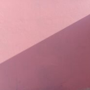 Photo positive reinforcement