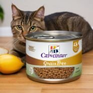 Photo grain-free cat food