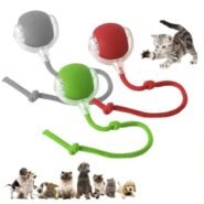Tiktok Viral Pet Toys