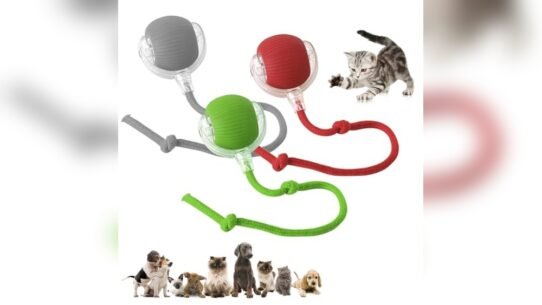 Tiktok Viral Pet Toys